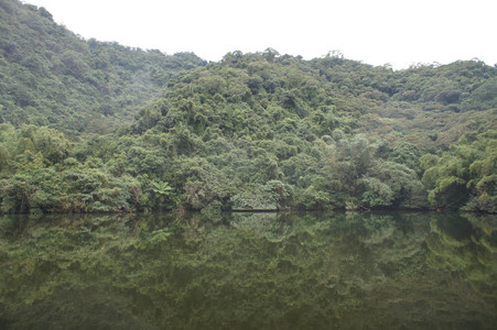 DSC01312.JPG