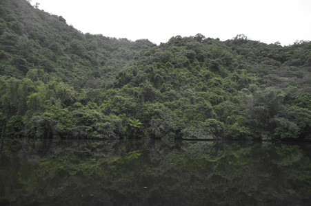 DSC01313.JPG