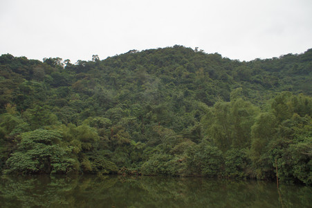 DSC01314.JPG