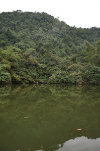 DSC01316.JPG