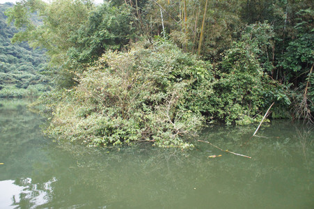 DSC01318.JPG