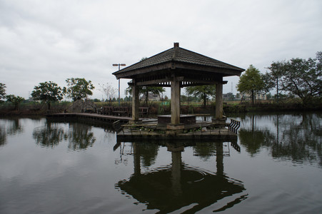 DSC01329.JPG
