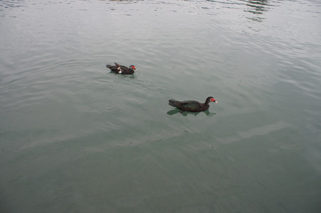 DSC01334.JPG