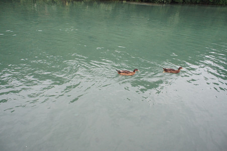 DSC01337.JPG