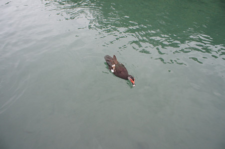 DSC01338.JPG