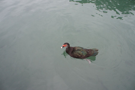 DSC01341.JPG