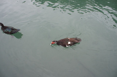 DSC01342.JPG