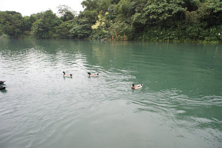 DSC01344.JPG