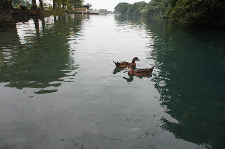 DSC01347.JPG
