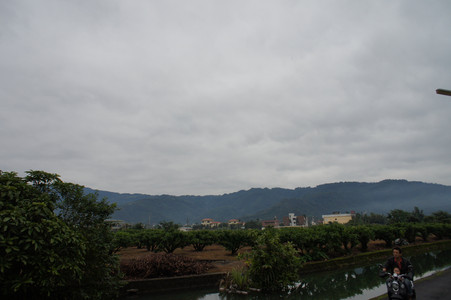 DSC01353.JPG