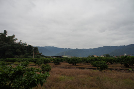 DSC01354.JPG