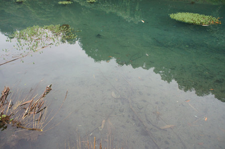 DSC01355.JPG