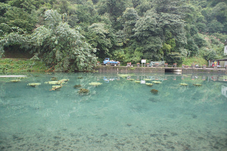 DSC01357.JPG