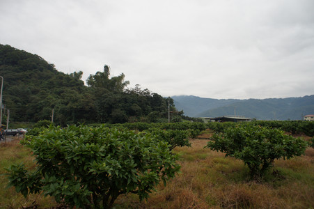 DSC01358.JPG