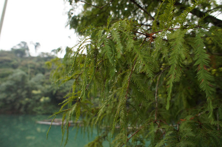 DSC01360.JPG