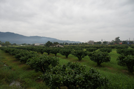 DSC01362.JPG