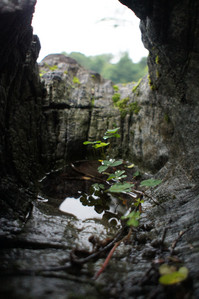 DSC01370.JPG