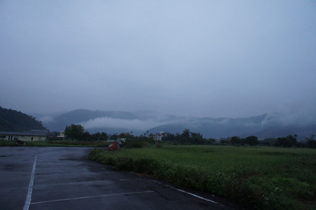 DSC01375.JPG