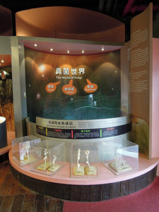 DSCN1162.JPG