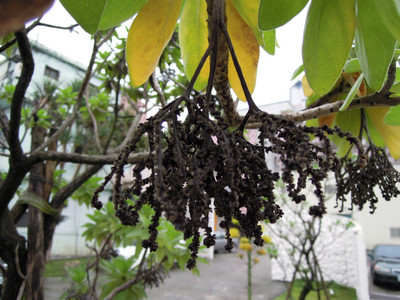DSCN1193.JPG