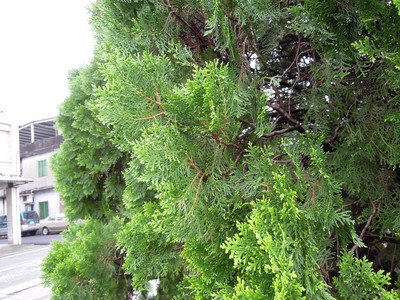 DSCN1225.JPG