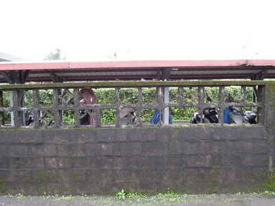 DSCN1226.JPG