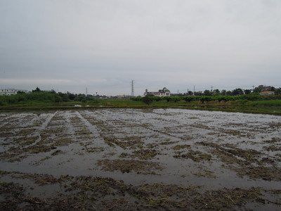 DSCN1239.JPG