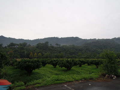 DSCN1246.JPG