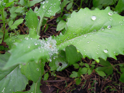 DSCN1249.JPG