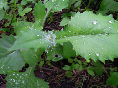 DSCN1250.JPG