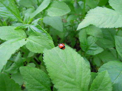 DSCN1251.JPG