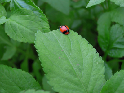 DSCN1252.JPG