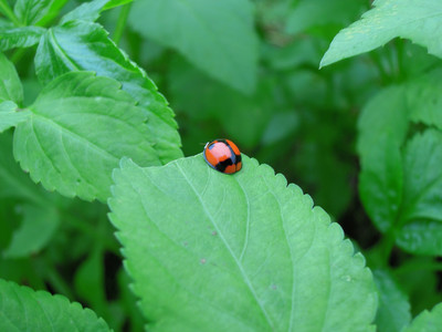 DSCN1253.JPG