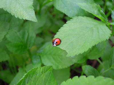 DSCN1254.JPG