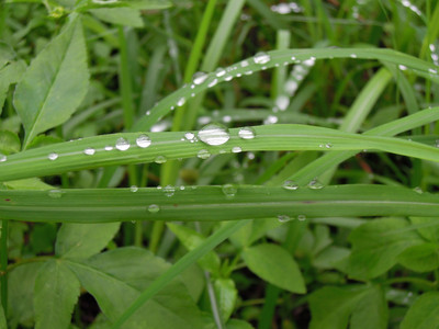 DSCN1255.JPG