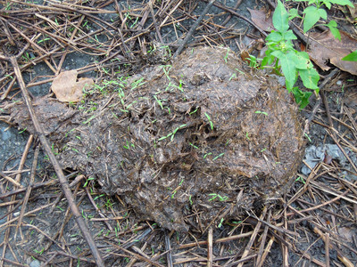 DSCN1256.JPG