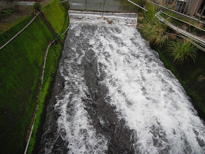 DSCN1257.JPG
