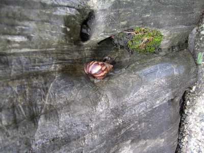 DSCN1260.JPG