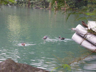 DSCN1261.JPG
