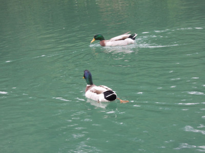 DSCN1263.JPG
