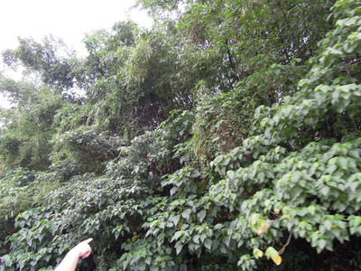 DSCN1265.JPG