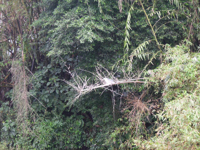 DSCN1268.JPG