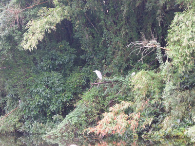 DSCN1269.JPG
