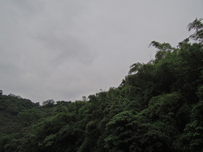DSCN1276.JPG