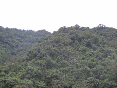 DSCN1277.JPG