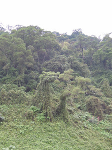 DSCN1283.JPG