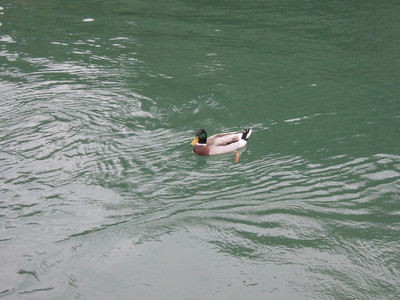 DSCN1288.JPG