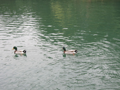 DSCN1289.JPG