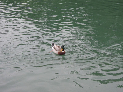 DSCN1290.JPG