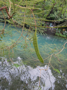 DSCN1292.JPG